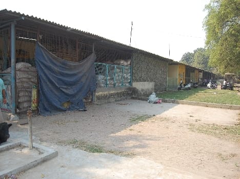 Guards drove the ongoing search for Mandi